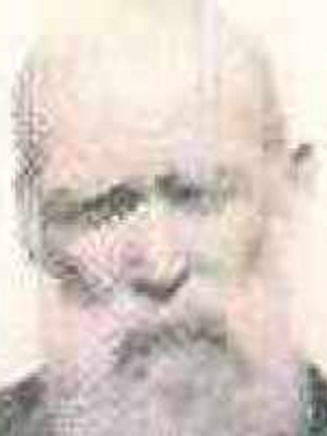 John Hargraves (1847 - 1927) Profile